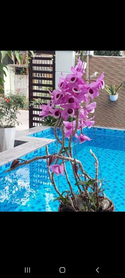 Riverlife Homestay Hoi An Exterior foto